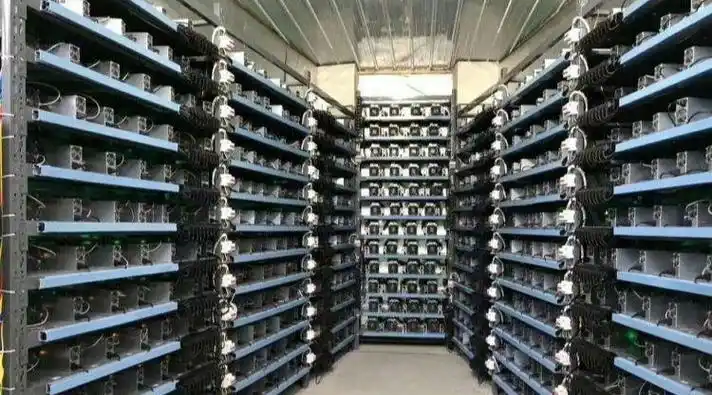 Extensive Litecoin mining farm showcasing rows of mining machines